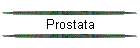 Prostata