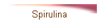 Spirulina